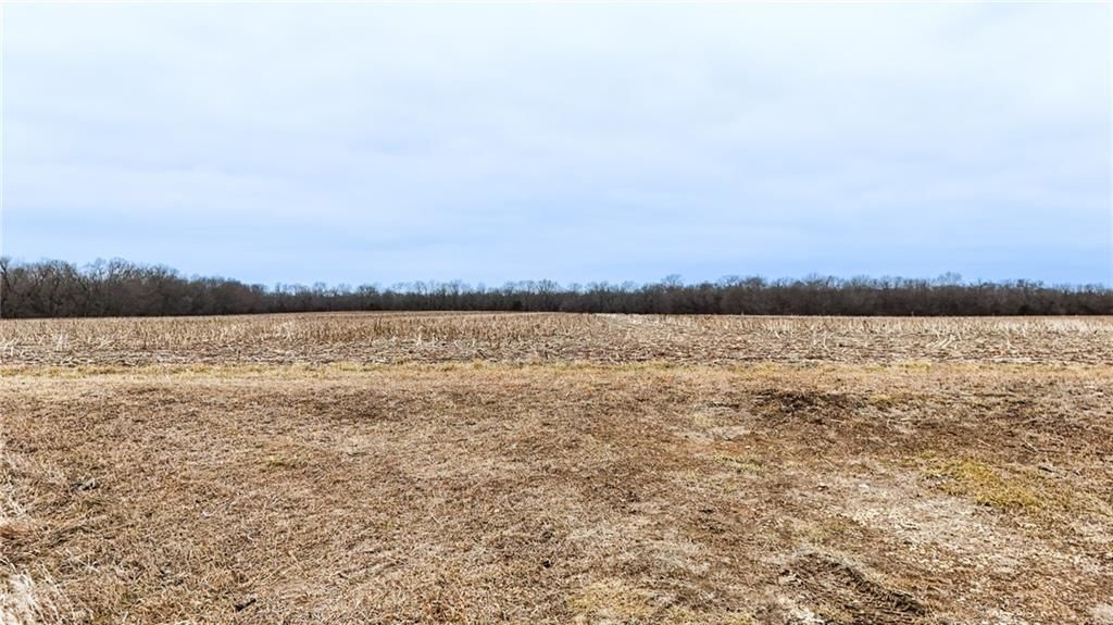 781 N 200th Road — photo 35