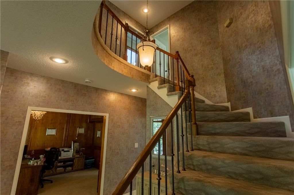8163 Constance Street — photo 21