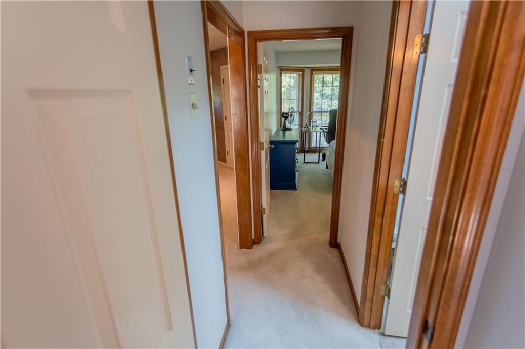 8163 Constance Street — photo 34