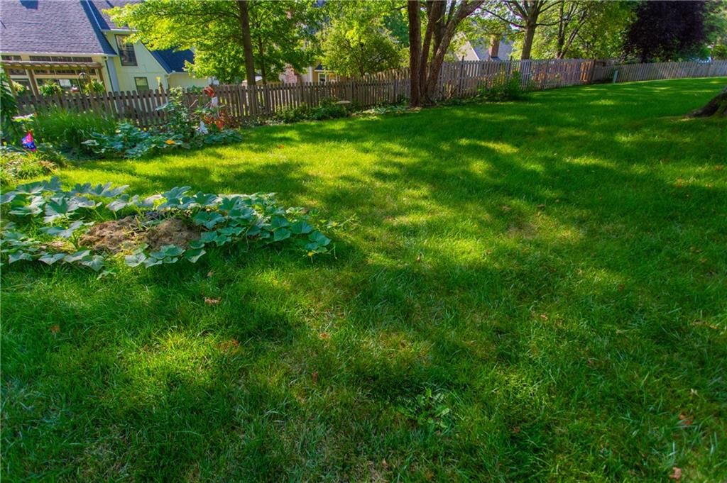 8163 Constance Street — photo 55