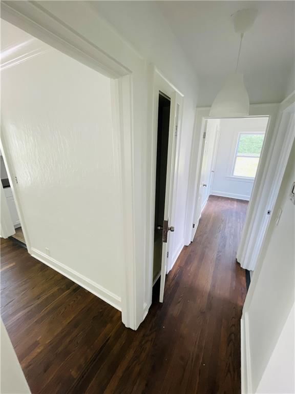 5111 Woodland Avenue — photo 15