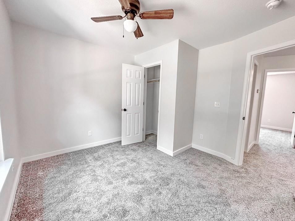 319 W Hainline Road — photo 23