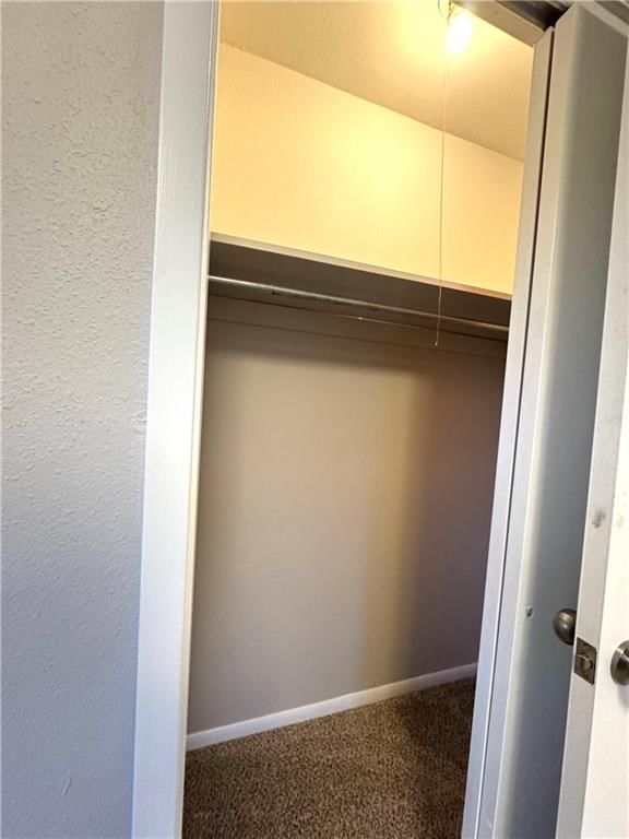 307 W Spruce Street — photo 9