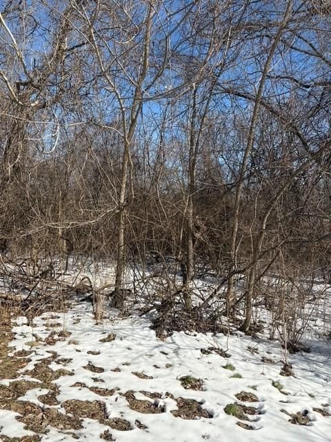 2505 Steele Road — photo 5