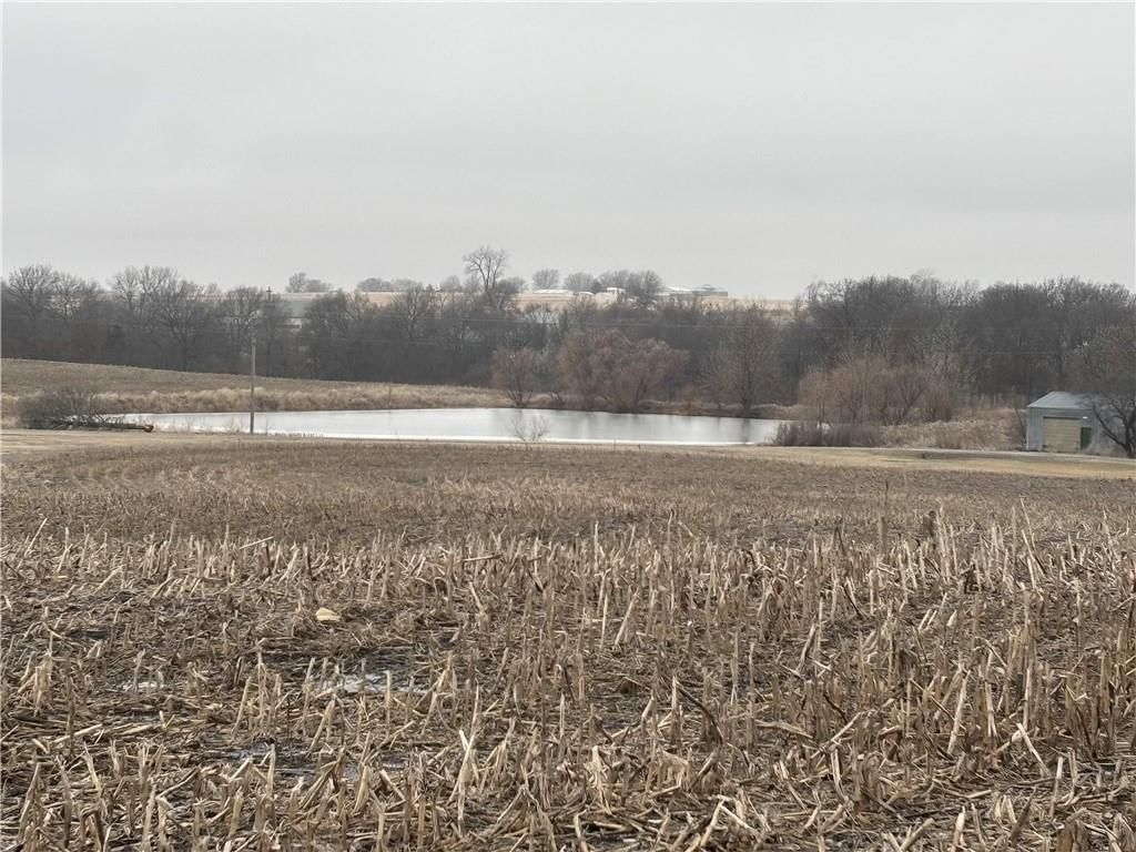 215.07 acres Rogers & Pence Road — photo 20