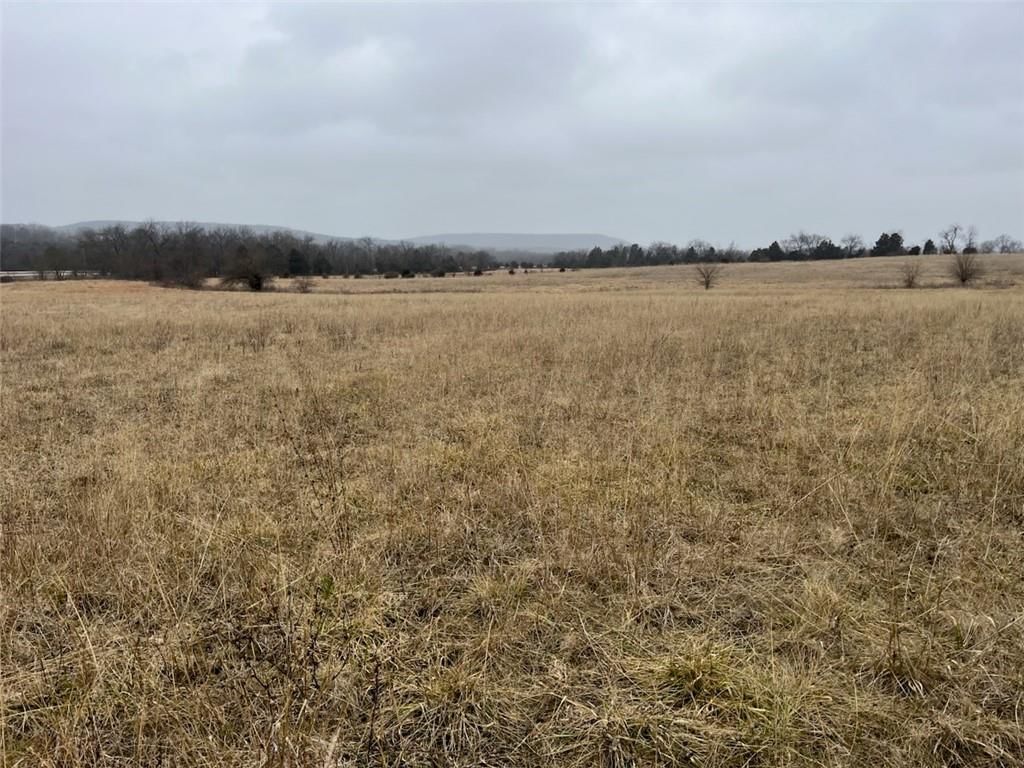 0000 Osceola Road — photo 6