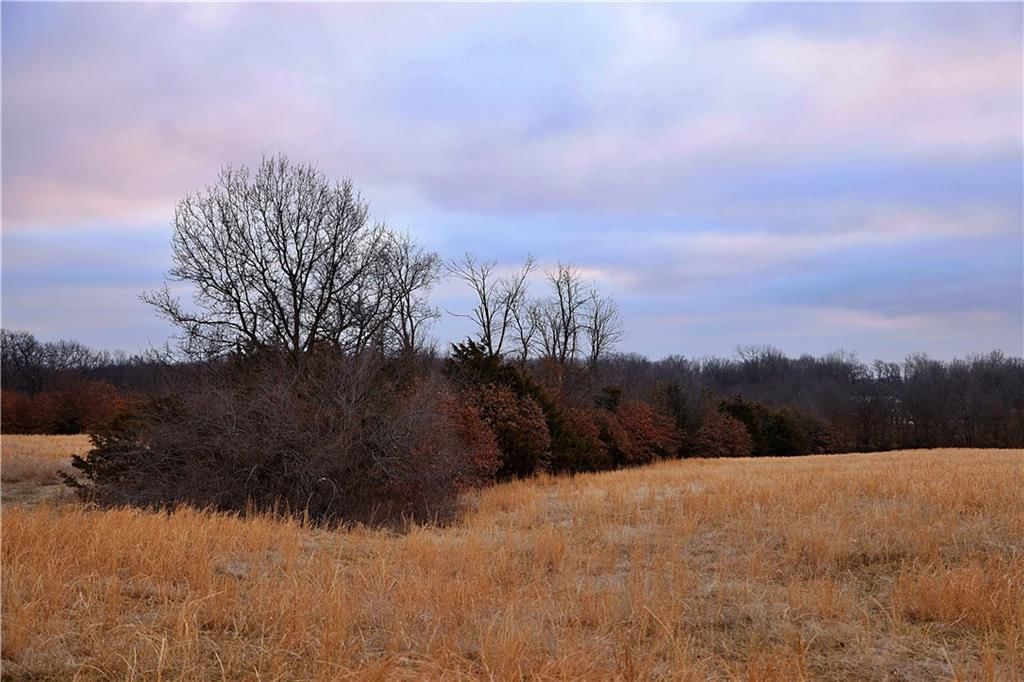 10983 SW Crooked Drive — photo 14
