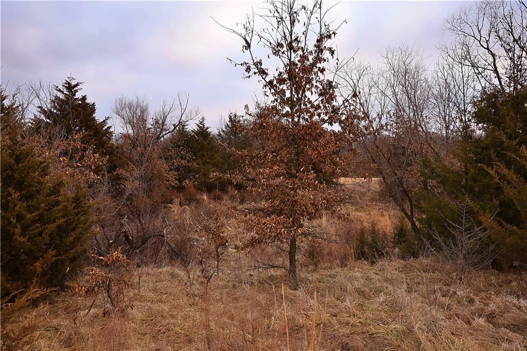 10983 SW Crooked Drive — photo 15
