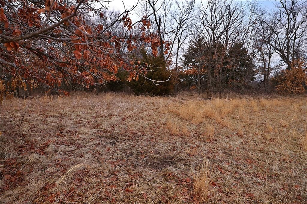 10983 SW Crooked Drive — photo 10