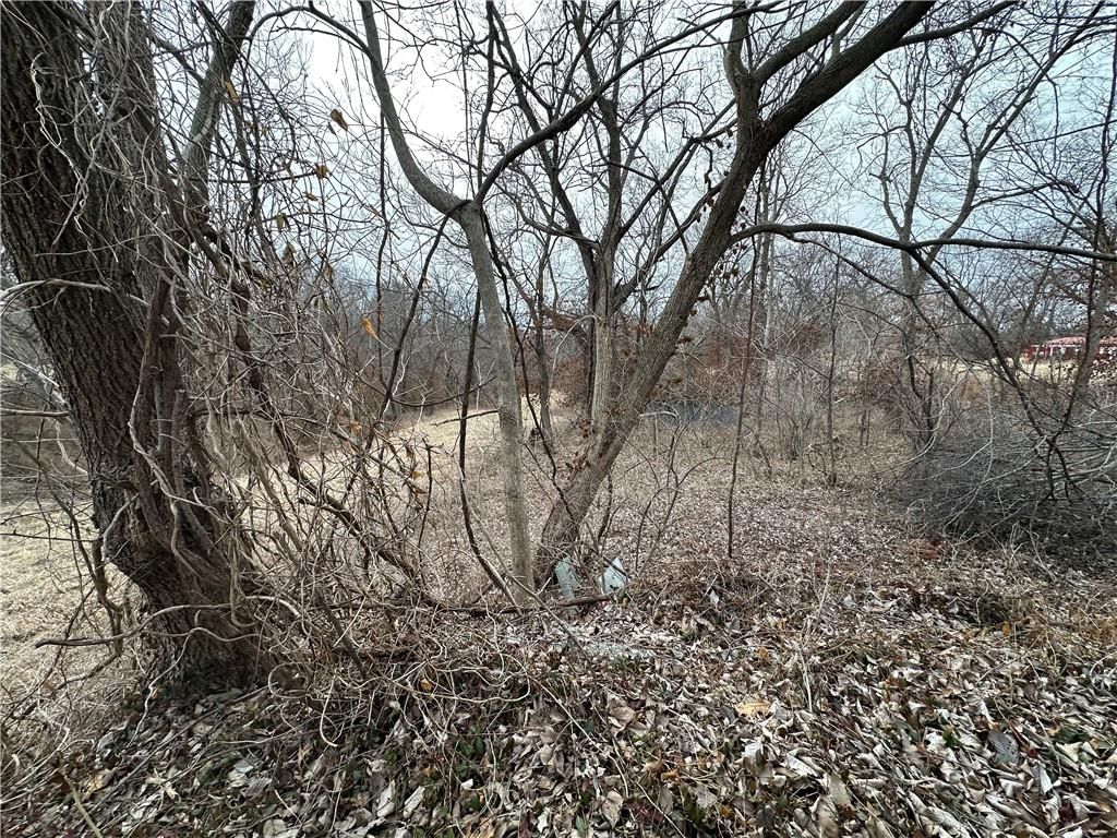 513 S Business Highway 13 Highway — photo 20