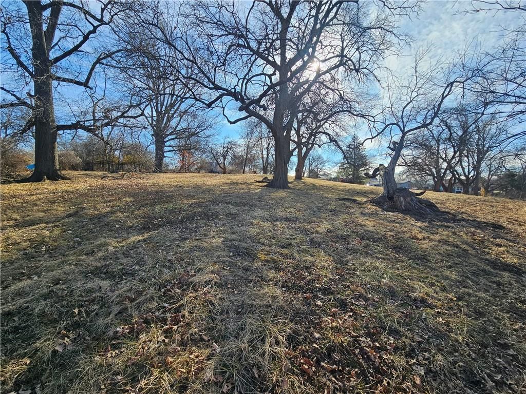 8449 Oldham Road — photo 6