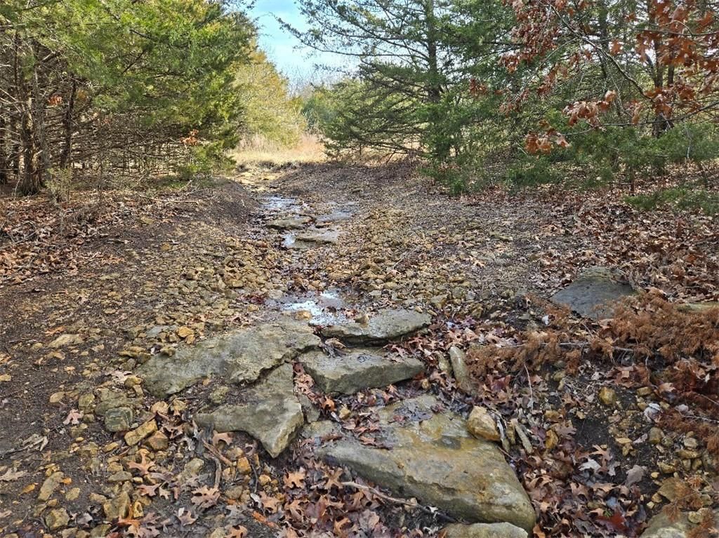 30405 Oak Grove Road — photo 5