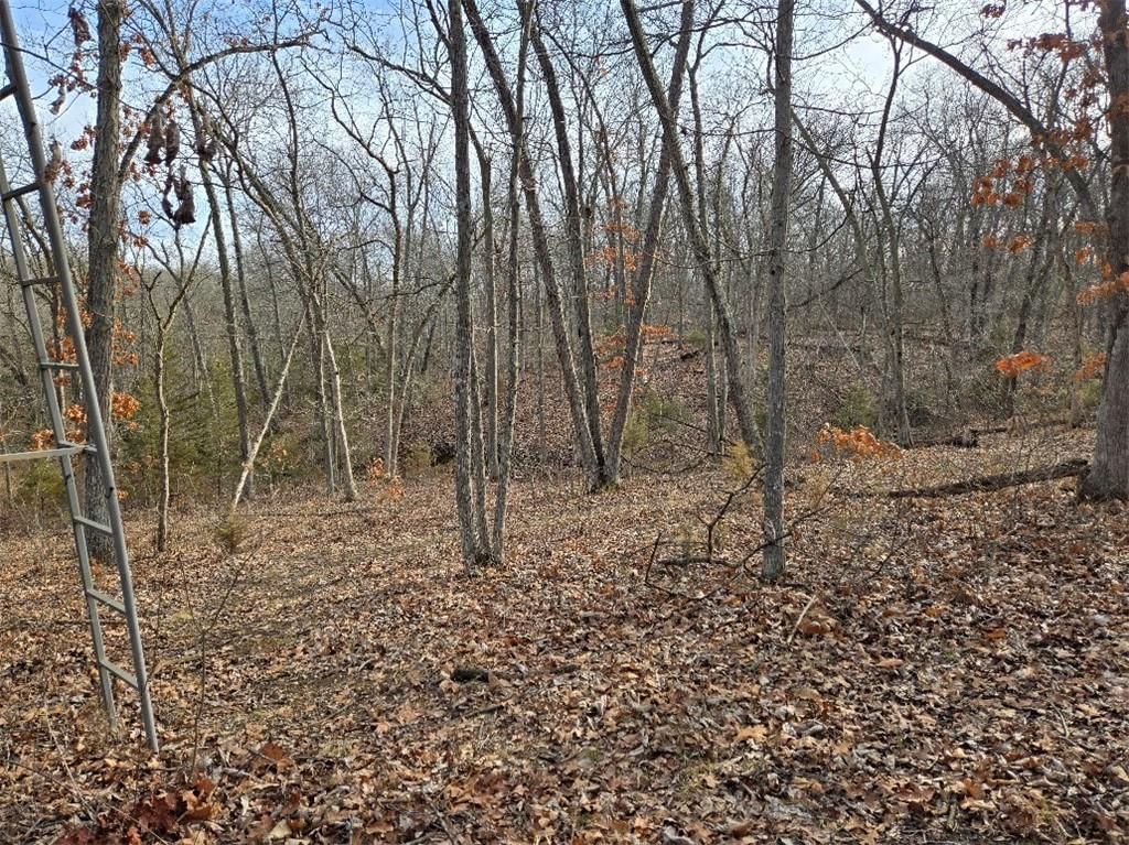 30405 Oak Grove Road — photo 44