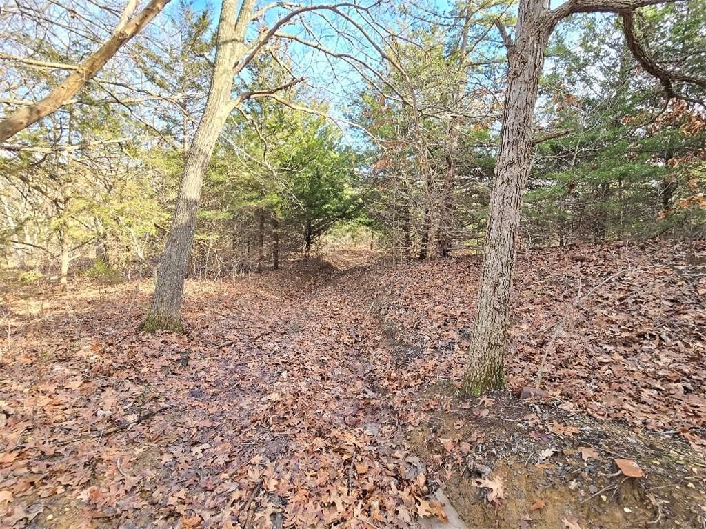 30405 Oak Grove Road — photo 79