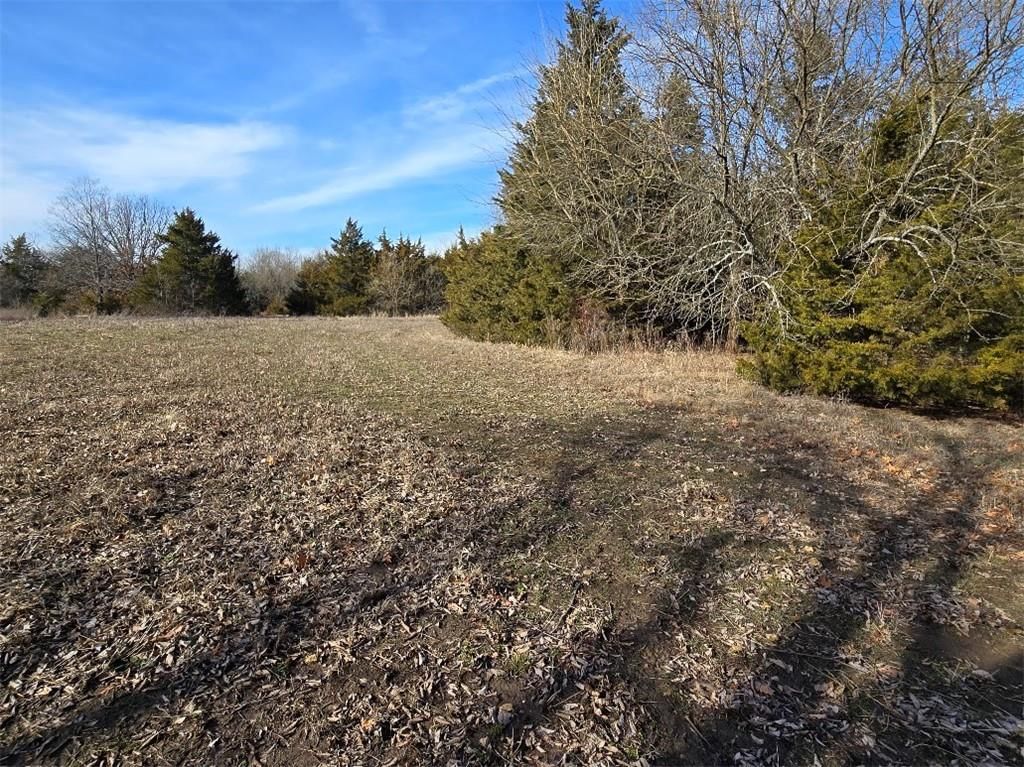 30405 Oak Grove Road — photo 86