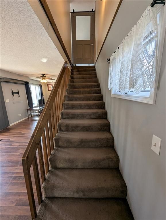 736 S Wilson Street — photo 37