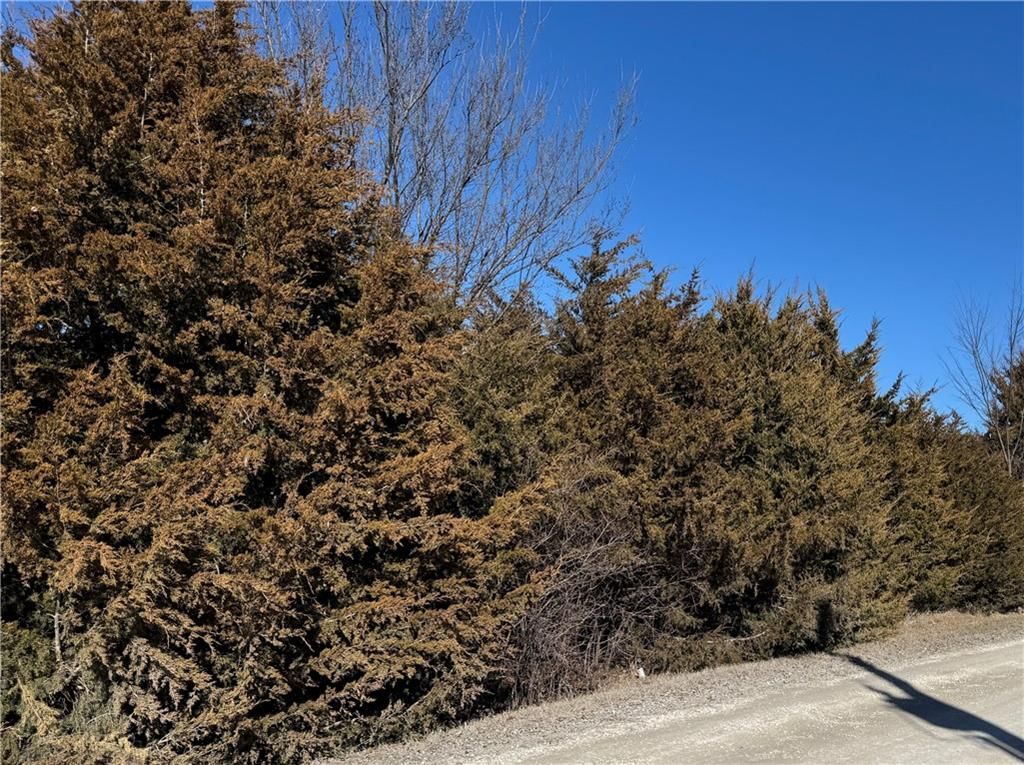 57 Silver Fox Trail — photo 3