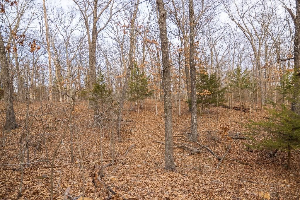 1179 SE 750 Road — photo 26