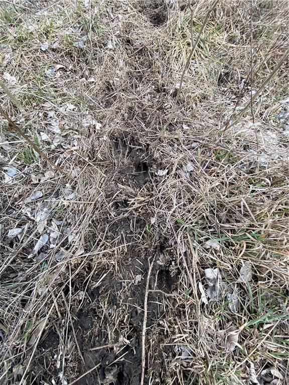 3375 CR 4000 N/A — photo 51