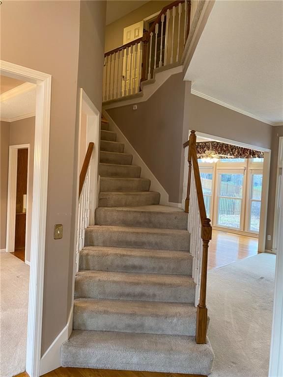 7253 Widmer Street — photo 26