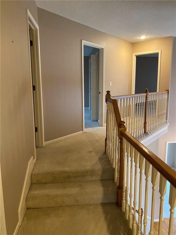 7253 Widmer Street — photo 27