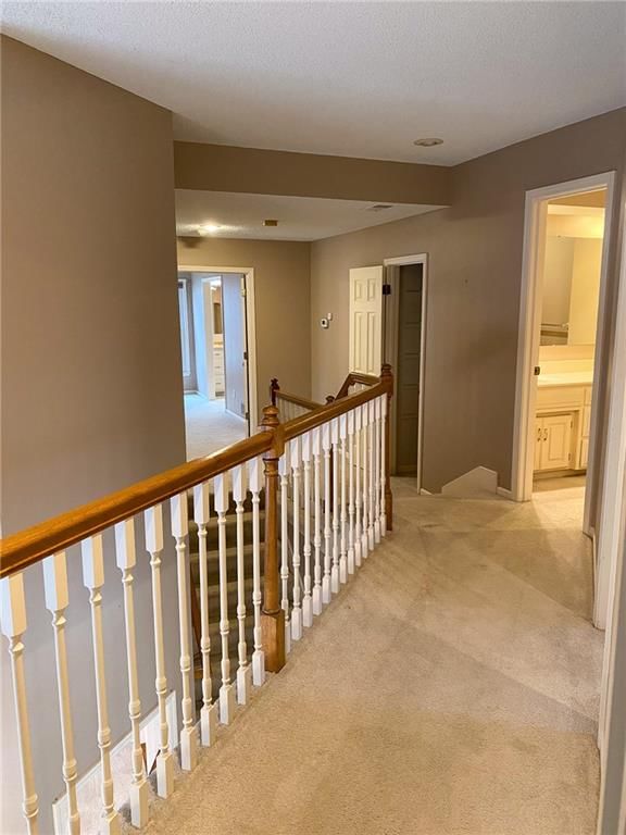 7253 Widmer Street — photo 28