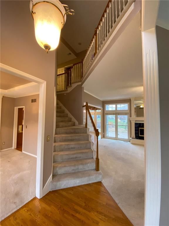 7253 Widmer Street — photo 10
