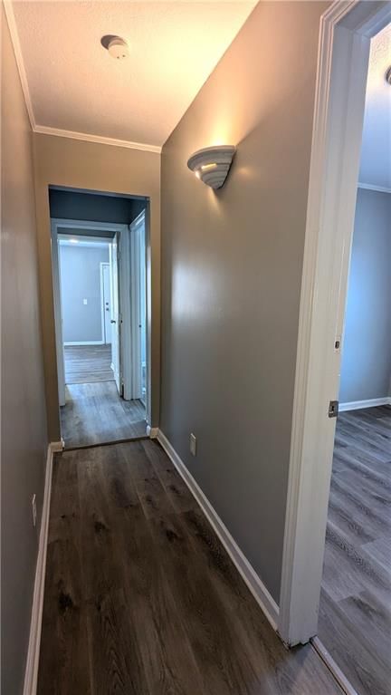 3770 Meadow Lane — photo 33