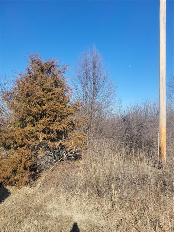 273 Sycamore Drive — photo 5