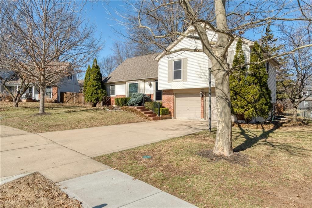 10010 Caenen Drive — photo 4