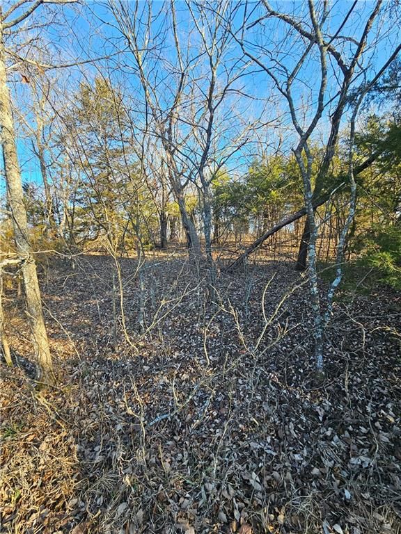 6 Birch Court — photo 7
