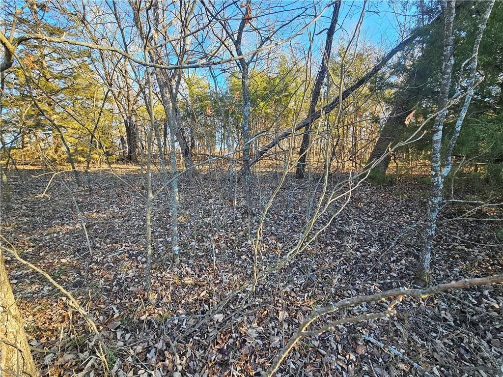 6 Birch Court — photo 8
