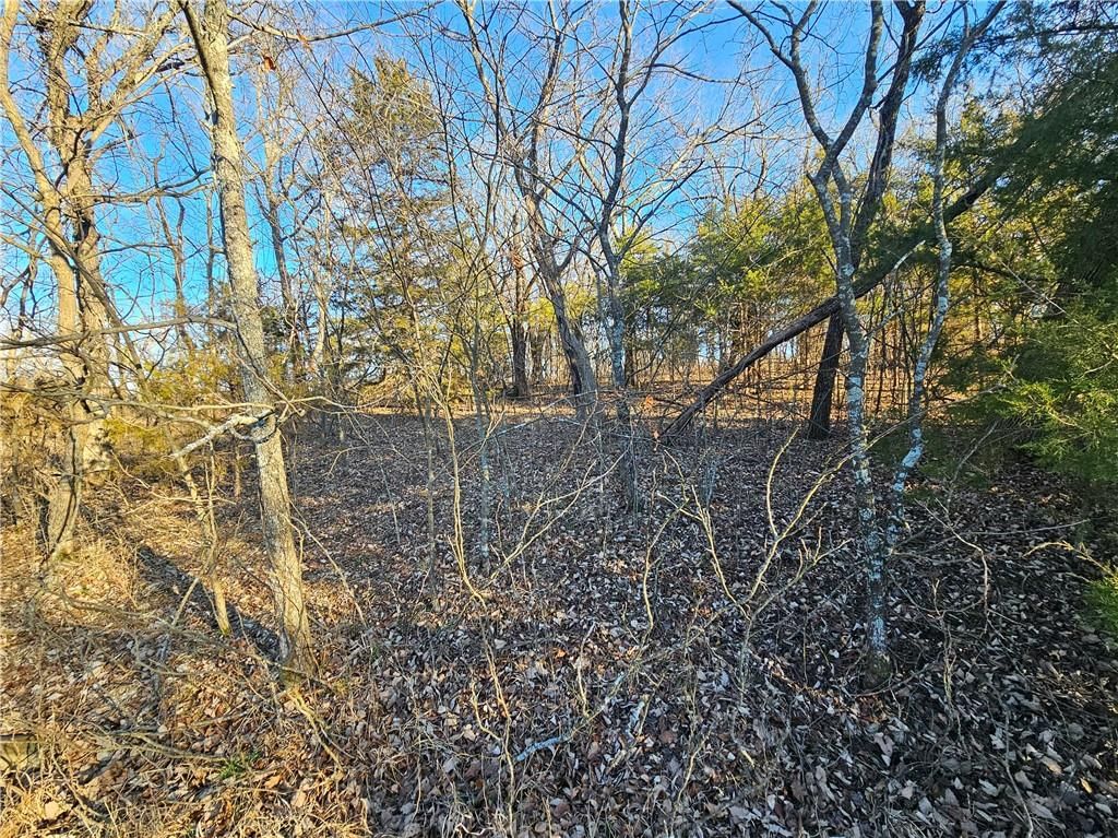 6 Birch Court — photo 9