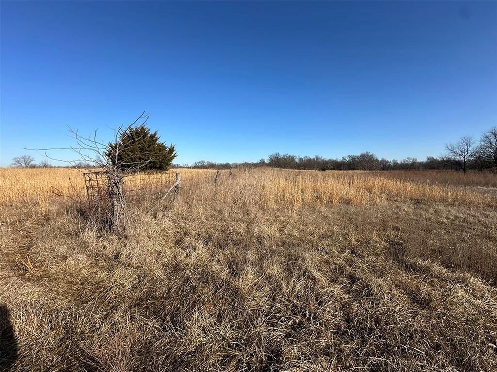 14083 State Route FF Road — photo 17