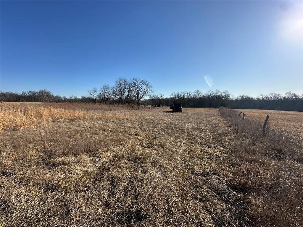 14083 State Route FF Road — photo 18