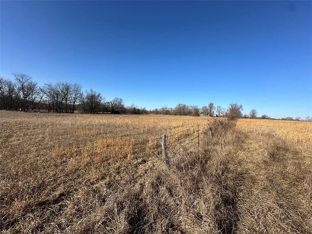 14083 State Route FF Road — photo 19