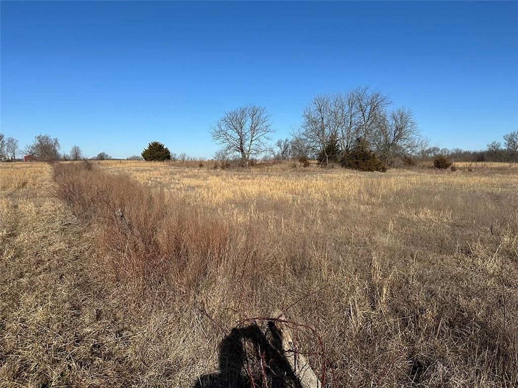 14083 State Route FF Road — photo 25