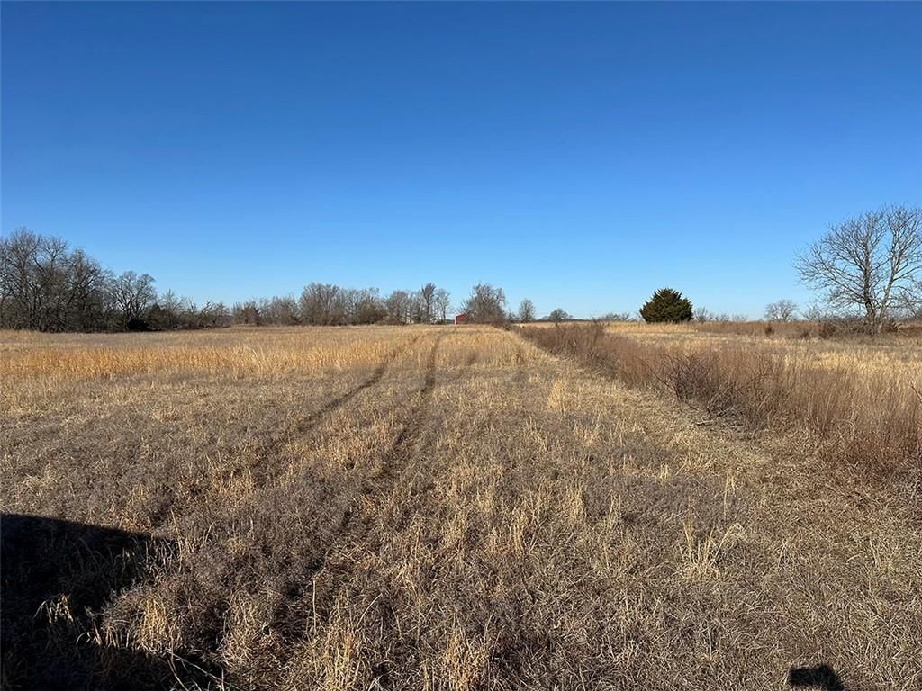 14083 State Route FF Road — photo 26