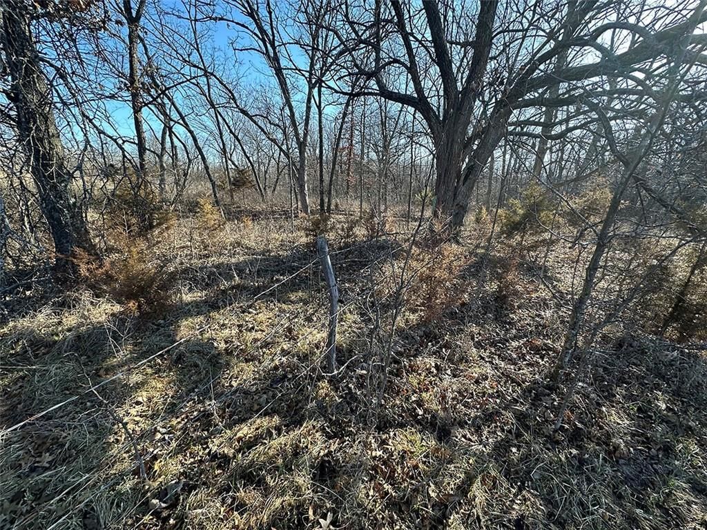 14083 State Route FF Road — photo 27
