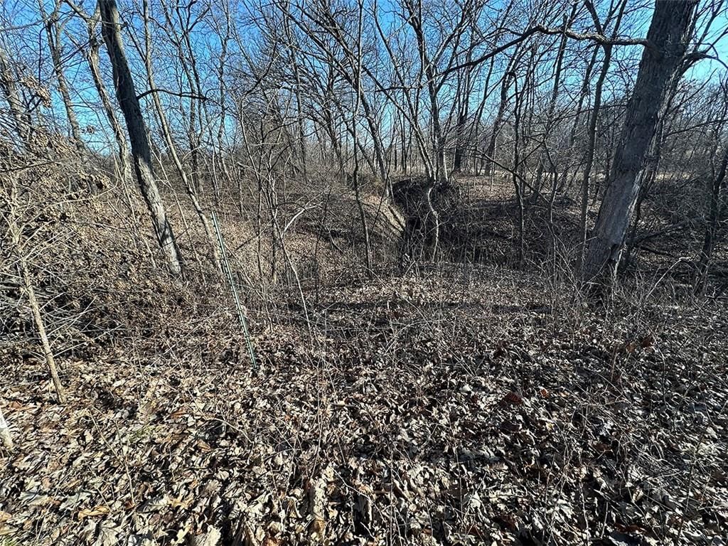 14083 State Route FF Road — photo 29