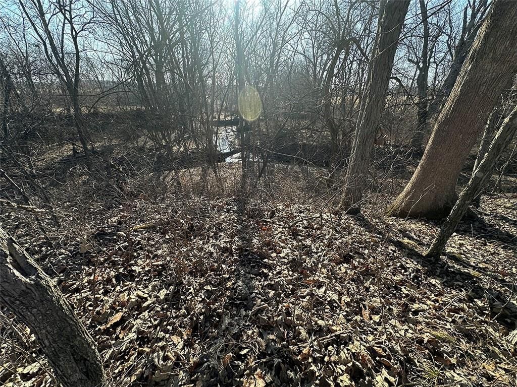 14083 State Route FF Road — photo 30