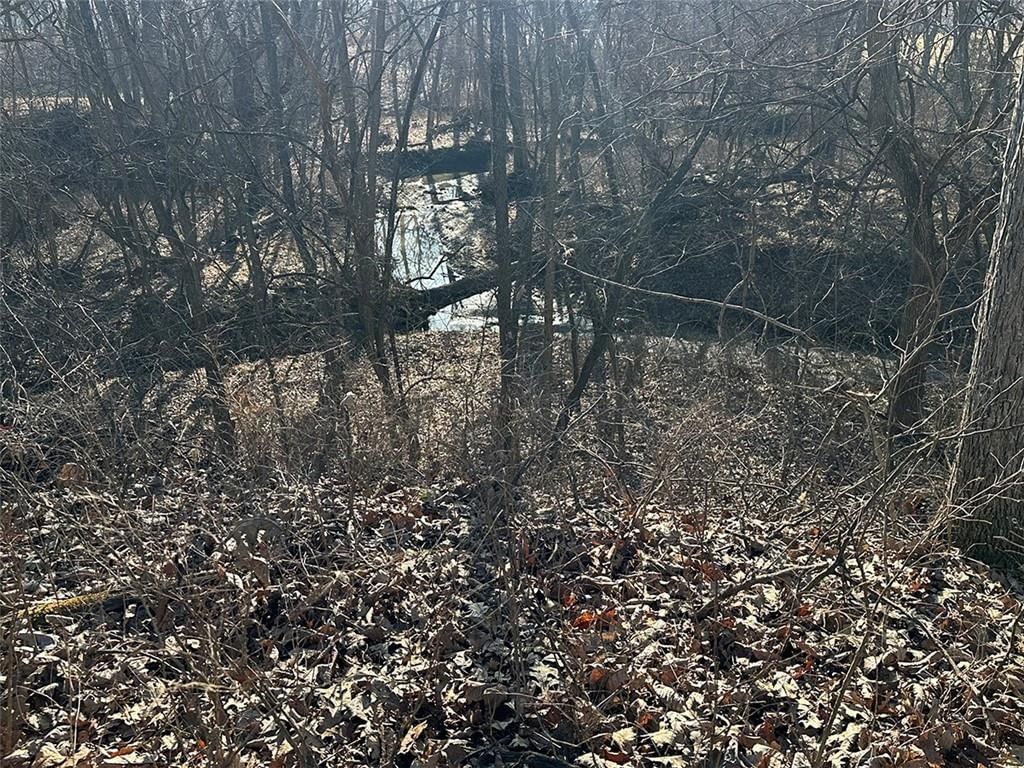 14083 State Route FF Road — photo 31