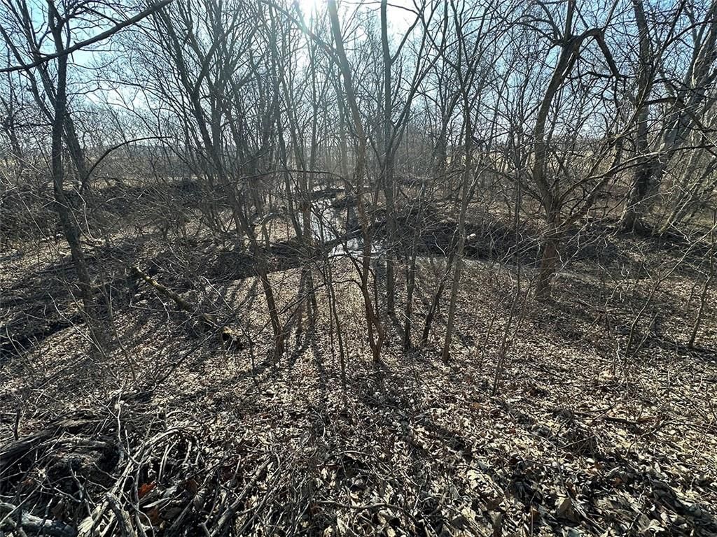 14083 State Route FF Road — photo 32