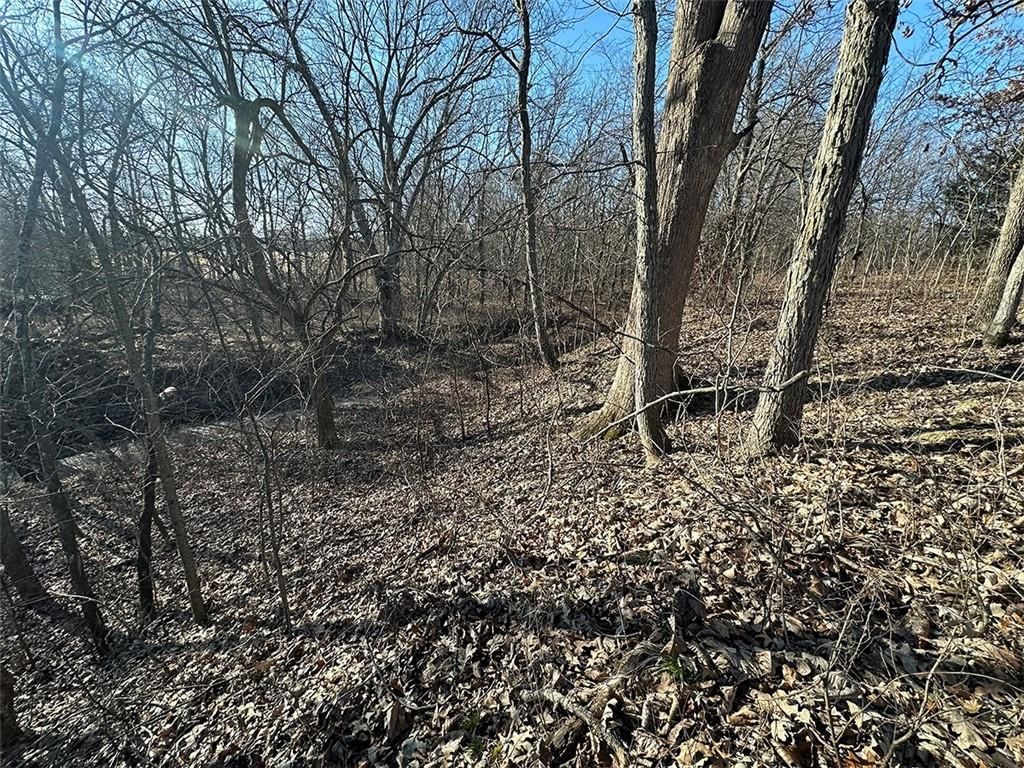 14083 State Route FF Road — photo 33