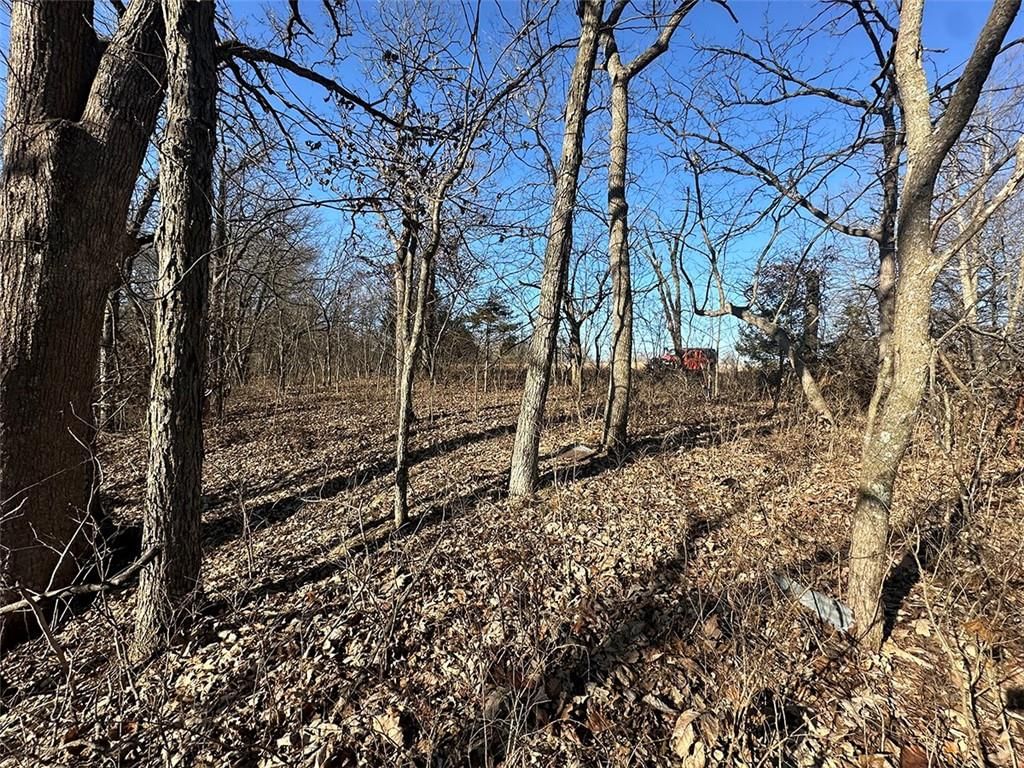 14083 State Route FF Road — photo 34