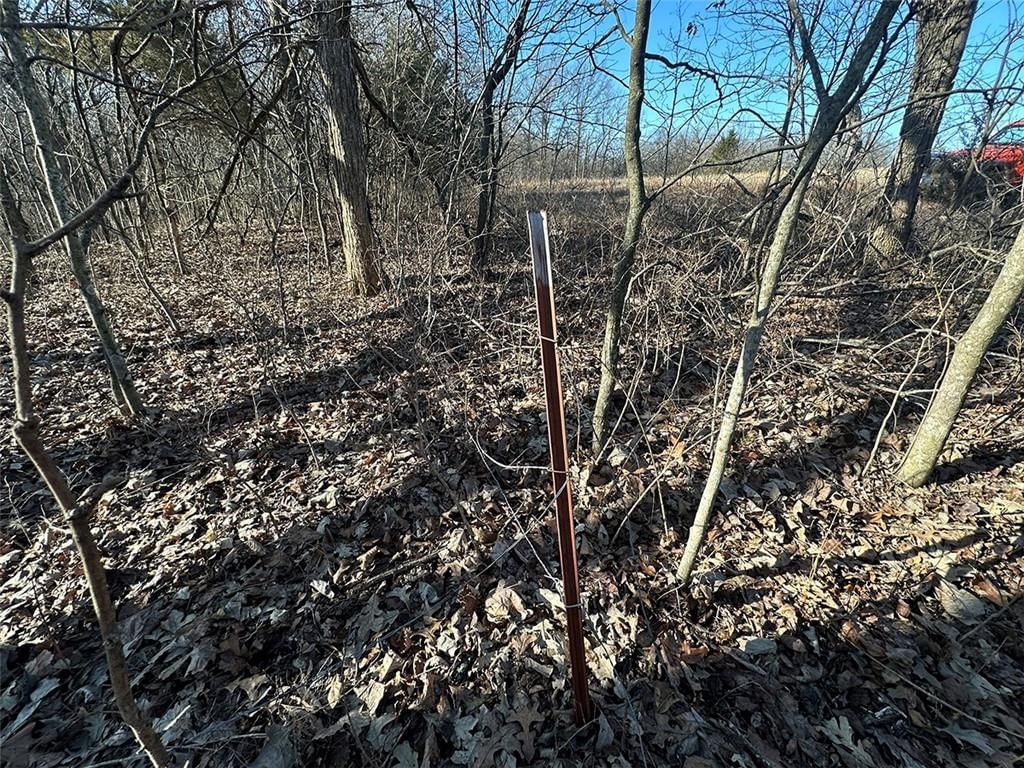 14083 State Route FF Road — photo 35