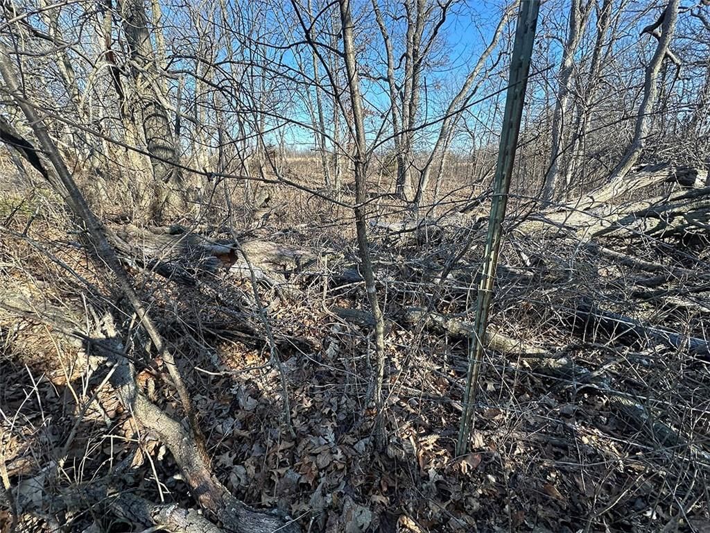 14083 State Route FF Road — photo 36