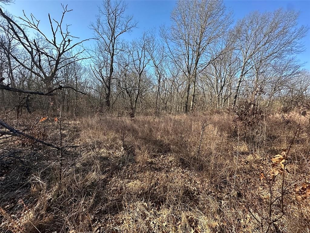 14083 State Route FF Road — photo 38