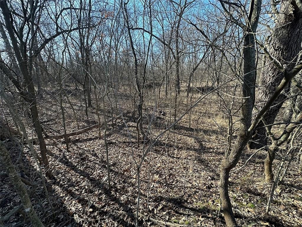 14083 State Route FF Road — photo 39