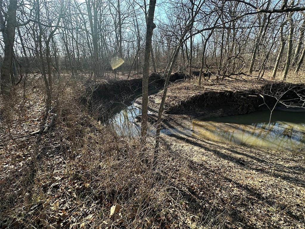 14083 State Route FF Road — photo 43